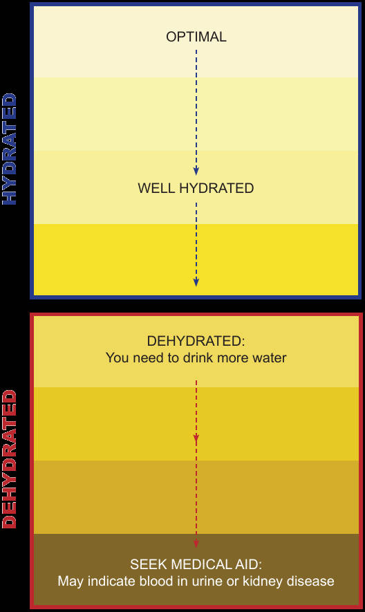 hydration urine color chart