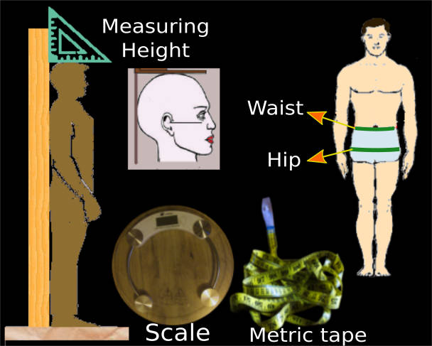 Anthropometric measurement
