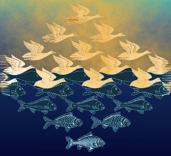 fish birdds drawing Escher